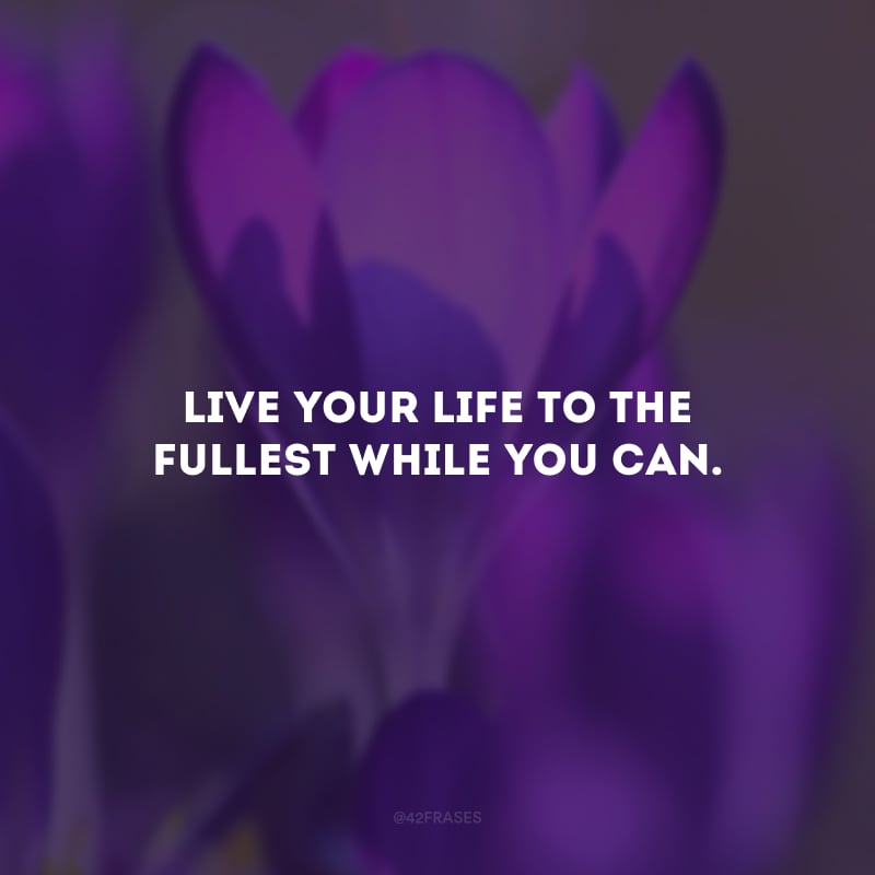 Live your life to the fullest while you can. (Viva sua vida ao máximo enquanto você pode).