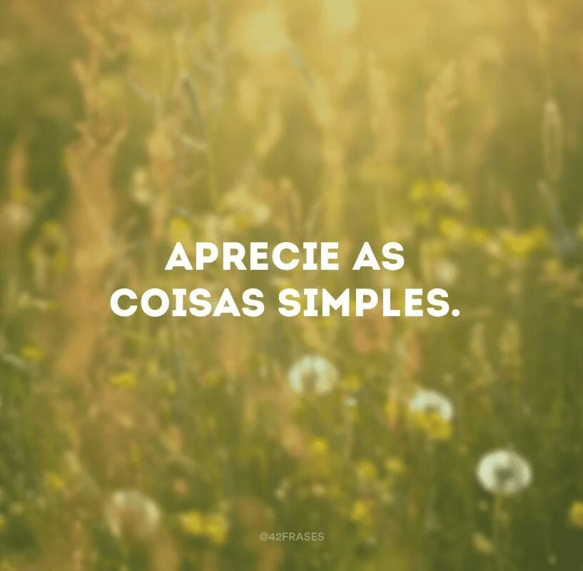 Aprecie as coisas simples. 