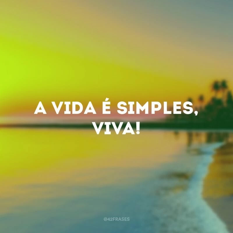 A vida é simples, viva!