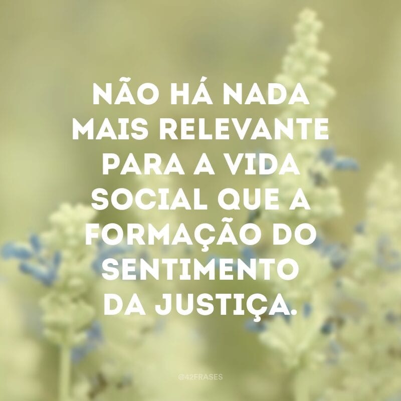 Não há nada mais relevante para a vida social que a formação do sentimento da justiça.