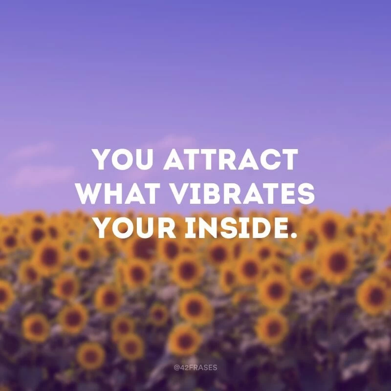 You attract what vibrates your inside.(Você atrai o que vibra em seu interior.)