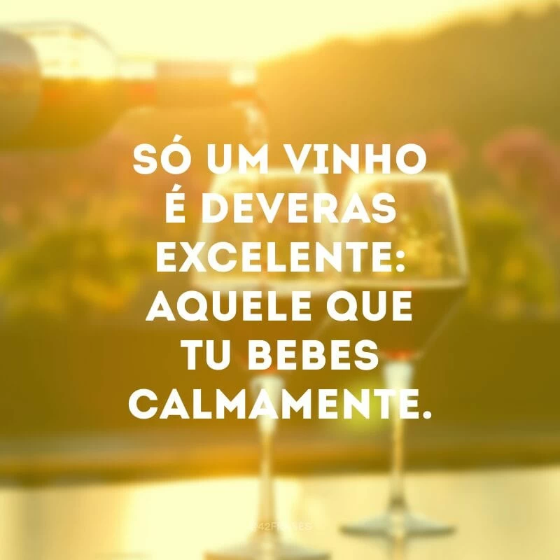Só um vinho é deveras excelente: aquele que tu bebes calmamente. 