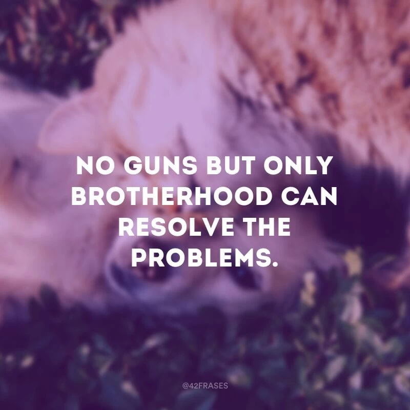 No guns but only brotherhood can resolve the problems. - Nenhuma arma, mas apenas a irmandade, pode resolver os problemas. 