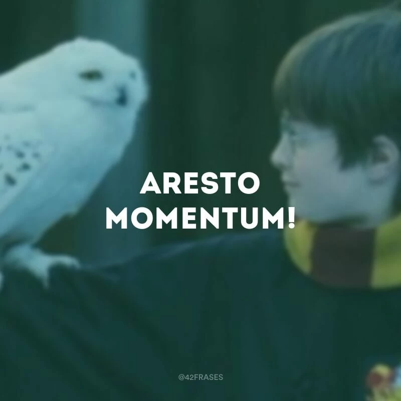 Aresto Momentum!