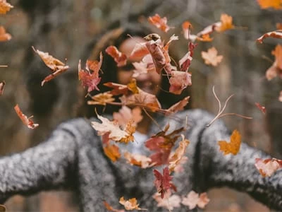 44 frases de outono para se apaixonar pela estação das folhas que caem
