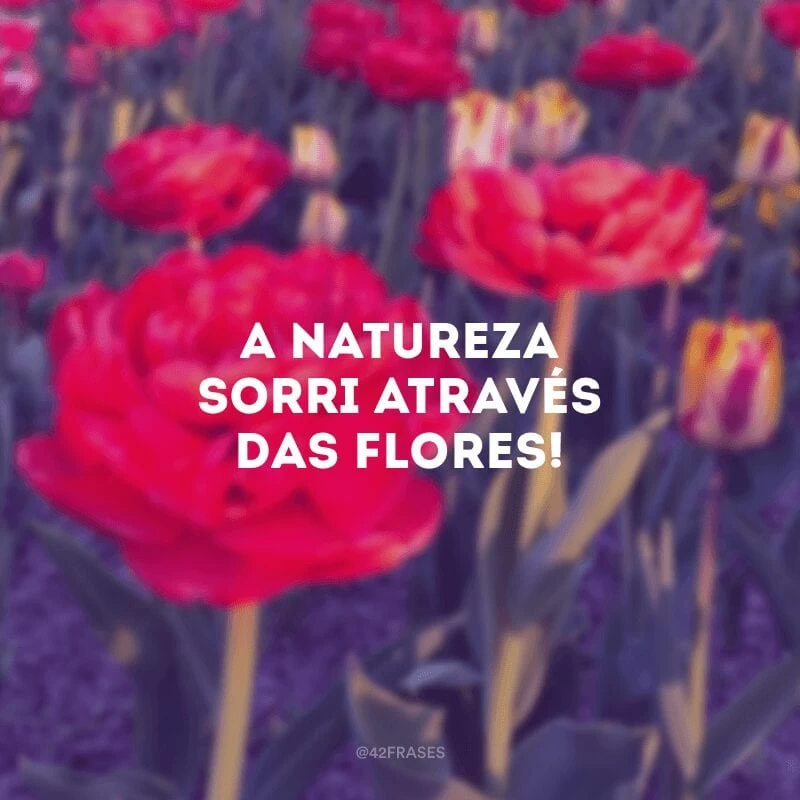 A natureza sorri através das flores!