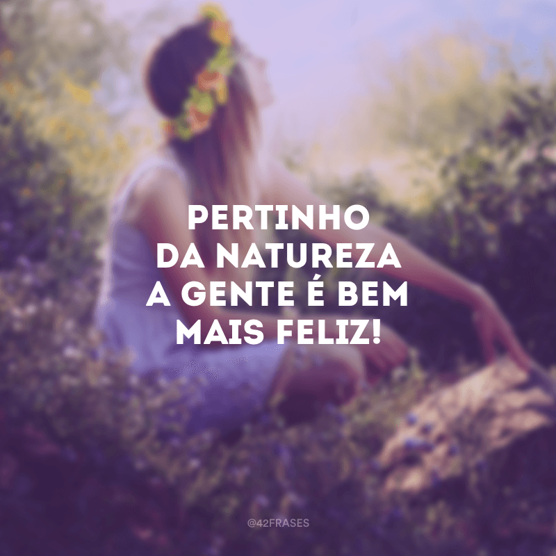 Featured image of post Frases Foto Sozinha Natureza Quer mais frases do poetas no topo