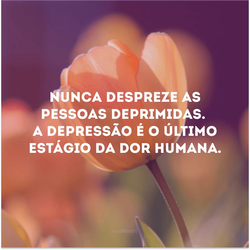 Nunca despreze as pessoas deprimidas. A depressão é o último estágio da dor humana. 