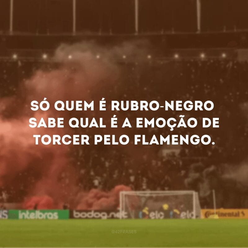 Só quem é rubro-negro sabe qual é a emoção de torcer pelo Flamengo.