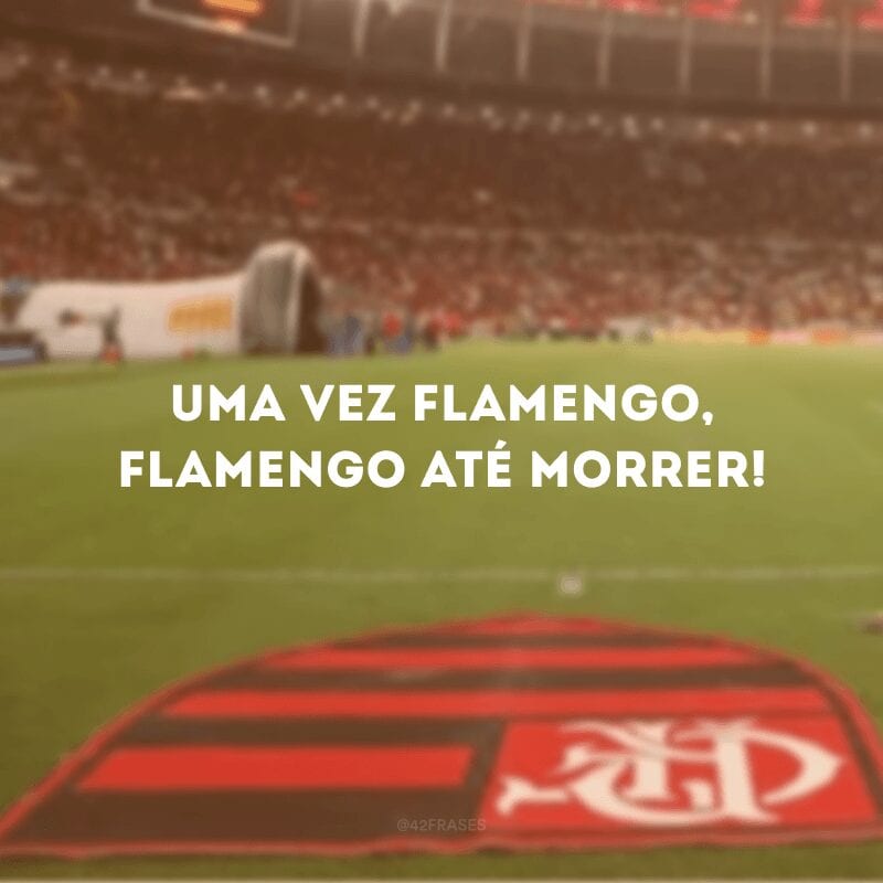 Uma vez Flamengo, Flamengo até morrer!