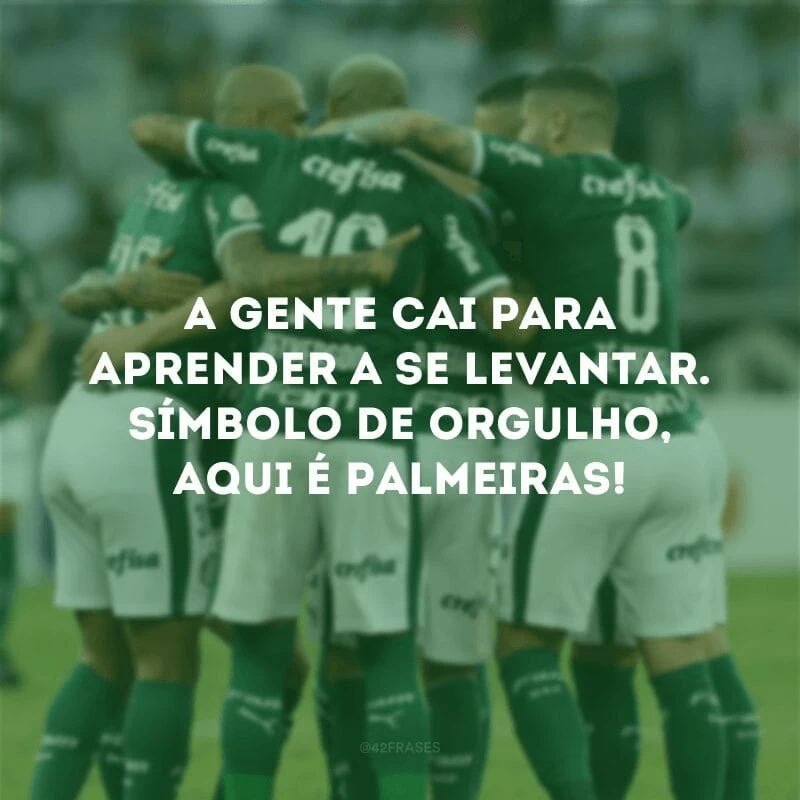 A gente cai para aprender a se levantar. Símbolo de orgulho, aqui é Palmeiras!