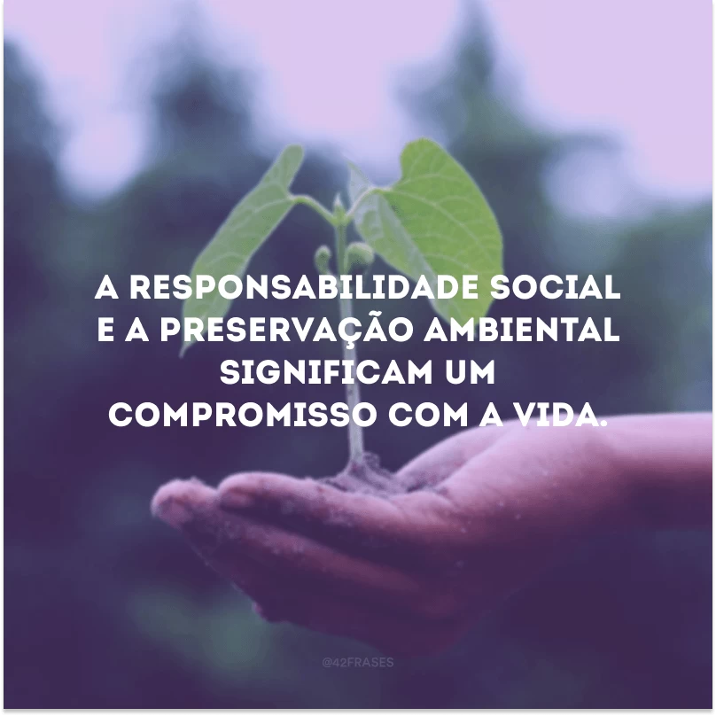 A responsabilidade social e a preservação ambiental significam um compromisso com a vida. 