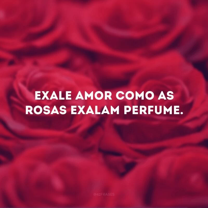 Exale amor como as rosas exalam perfume.