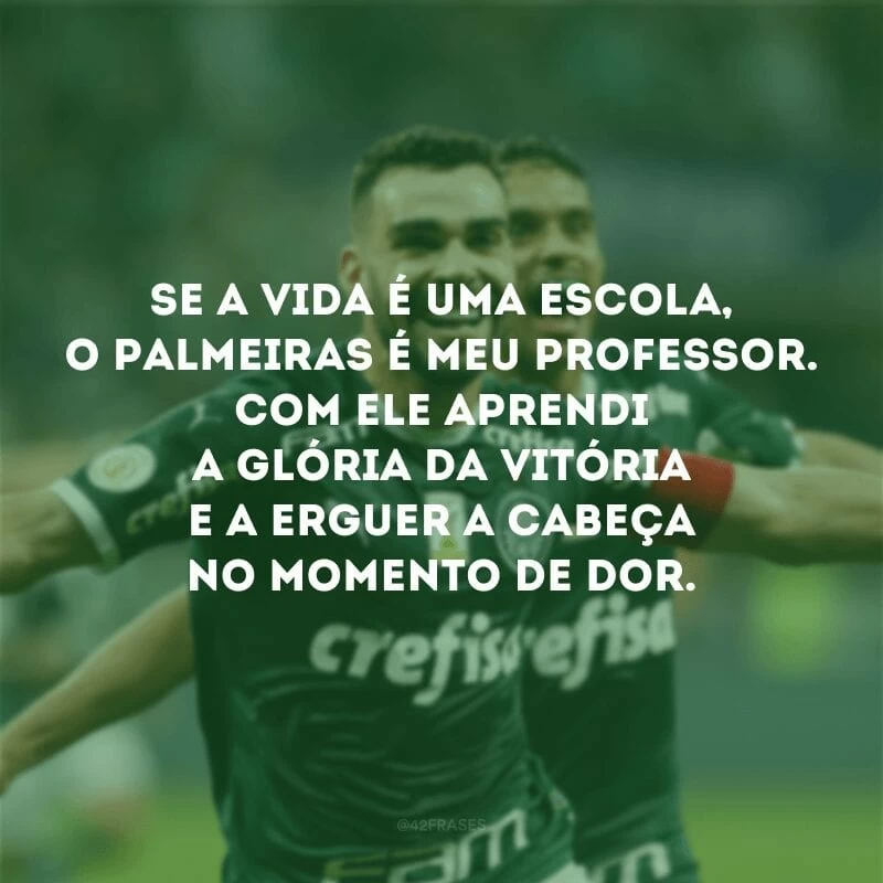 Se a vida é uma escola, o Palmeiras é meu professor. Com ele aprendi a glória da vitória e a erguer a cabeça no momento de dor.