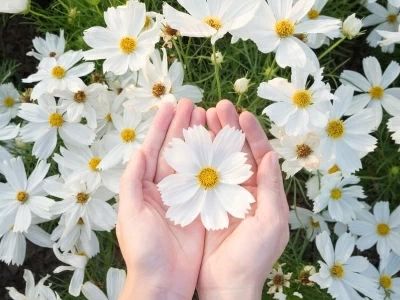 40 frases de bom dia flor do dia para regar sua manhã com boas energias
