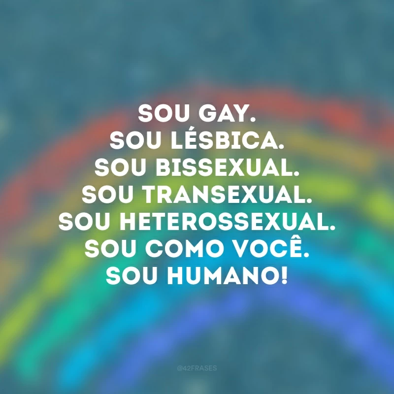 Sou gay. Sou lésbica. Sou bissexual. Sou transexual. Sou heterossexual. Sou como você. Sou humano!