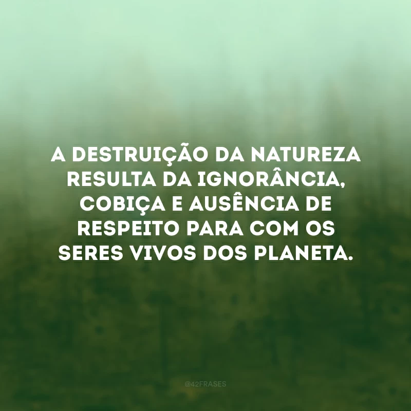 A destruição da natureza resulta da ignorância, cobiça e ausência de respeito para com os seres vivos dos planeta. 