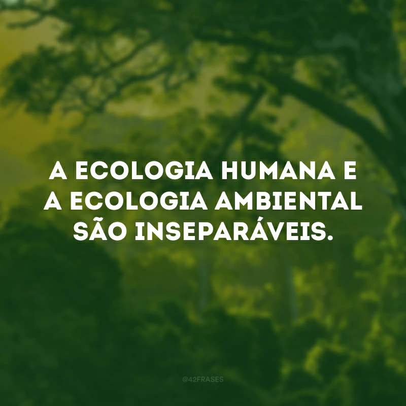 A ecologia humana e a ecologia ambiental são inseparáveis. 