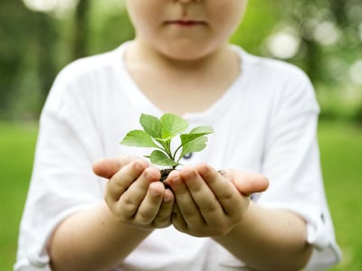 30 frases sobre sustentabilidade para pensar verde