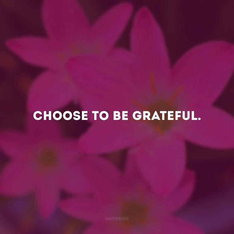 Choose to be grateful. (Escolha ser grato.)