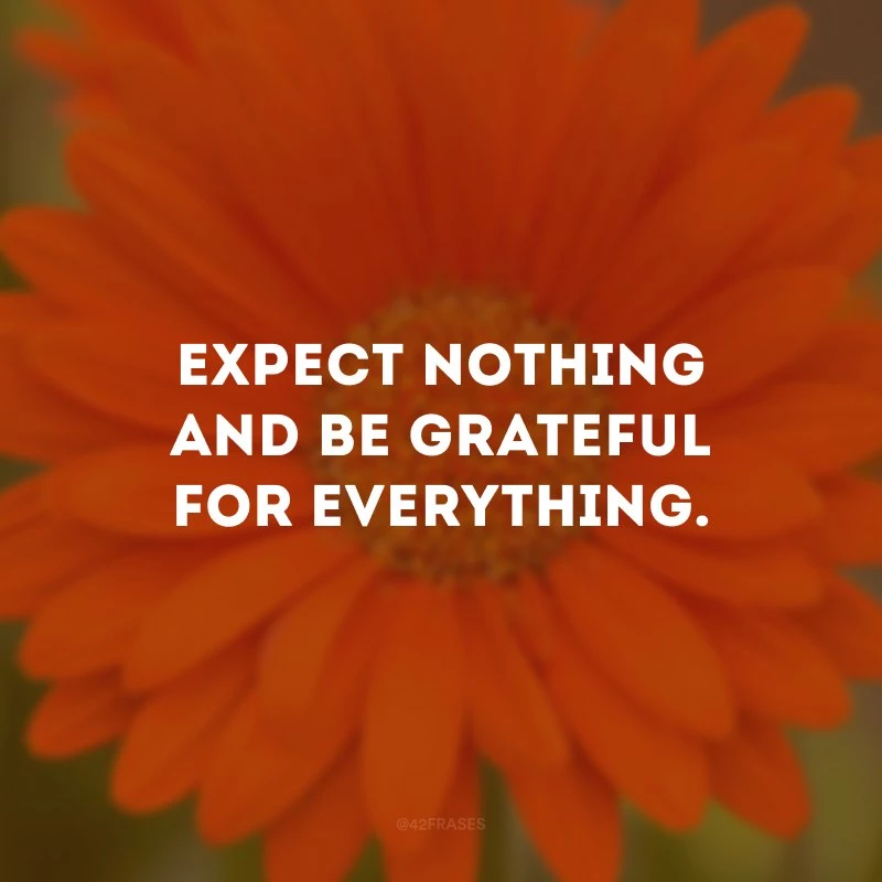 Expect nothing and be grateful for everything. (Não espere nada e seja grato por tudo.)