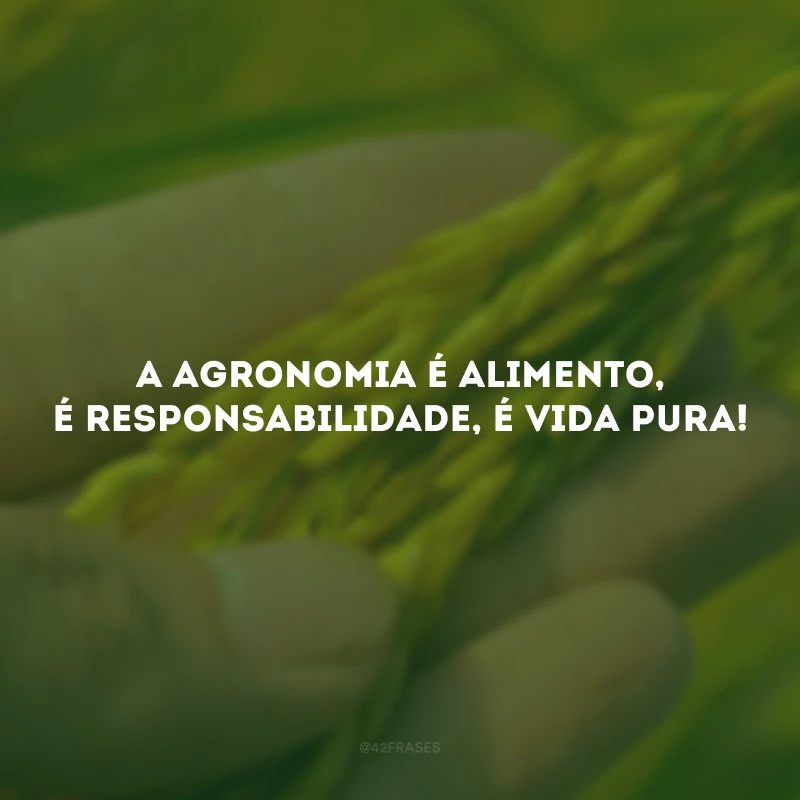 A agronomia é alimento, é responsabilidade, é vida pura! 