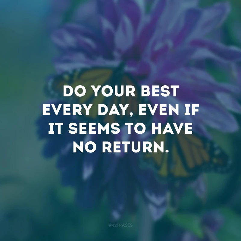 Do your best every day, even if it seems to have no return.
(Faça o seu melhor todos os dias, mesmo que pareça não ter retorno.)
