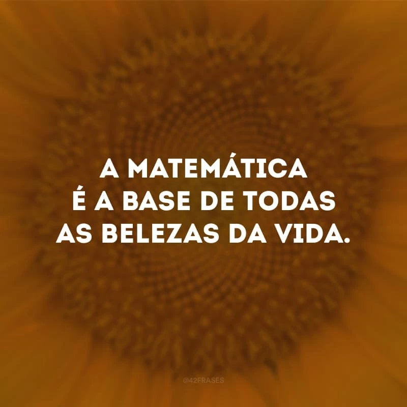 A matemática é a base de todas as belezas da vida.
