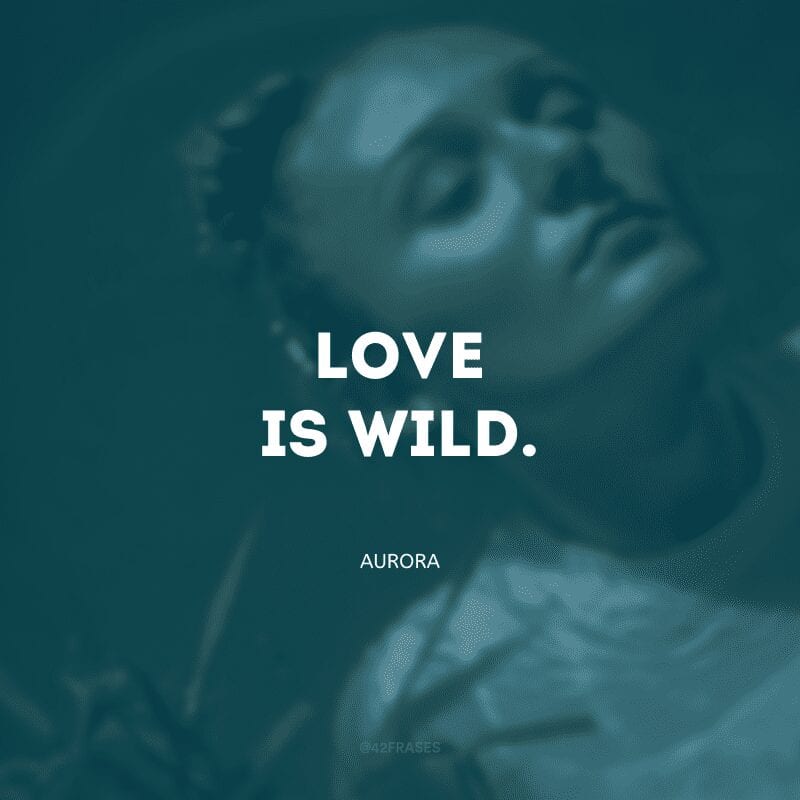 Love is wild. (O amor é selvagem)