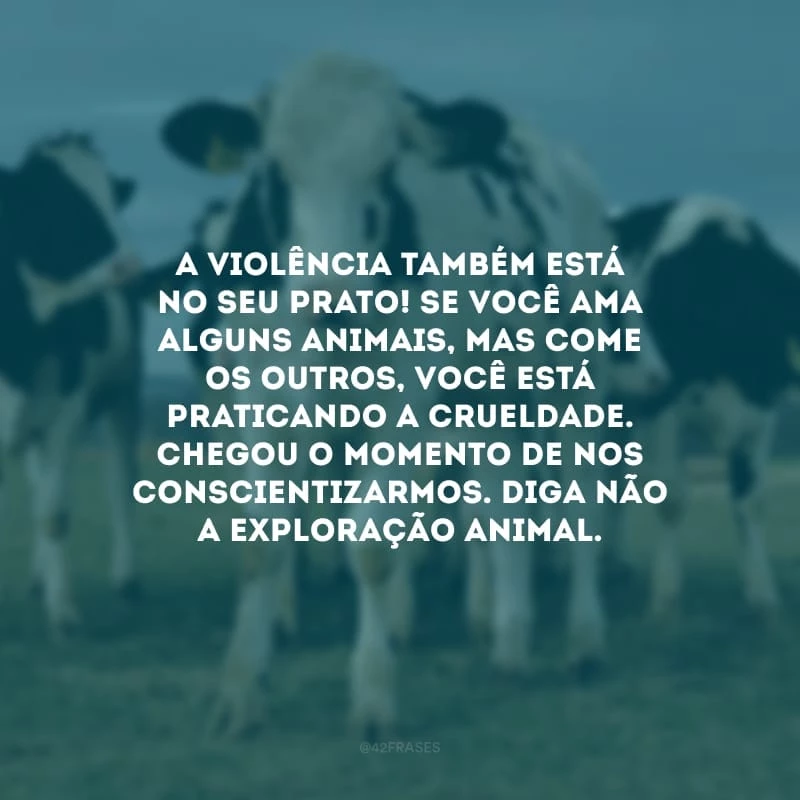 A violência também está no seu prato! Se você ama alguns animais, mas come os outros, você está praticando a crueldade. Chegou o momento de nos conscientizarmos. Diga não a exploração animal.