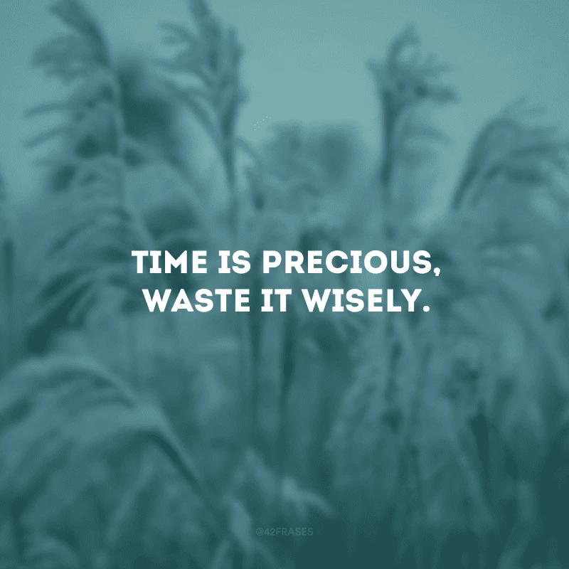 Time is precious, waste it wisely. (O tempo é precioso, gaste-o com sabedoria.)