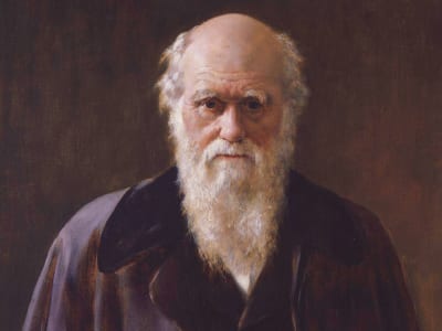 25 frases de Charles Darwin para refletir sobre a vida e a ciência