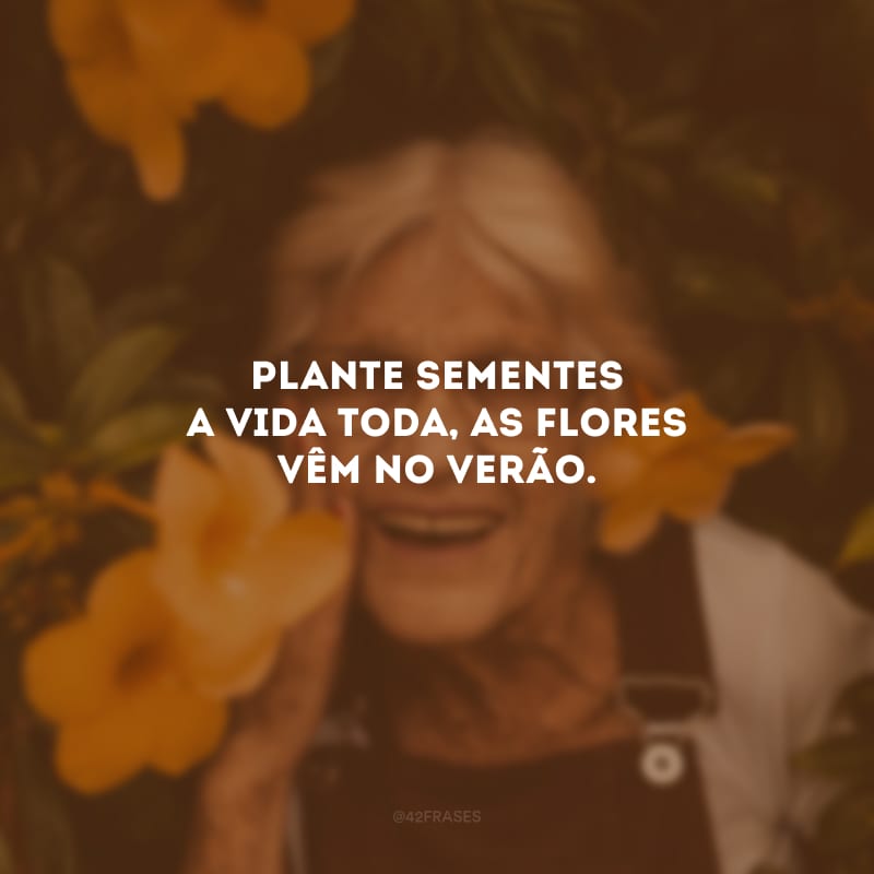 Plante sementes a vida toda, as flores vêm no verão.