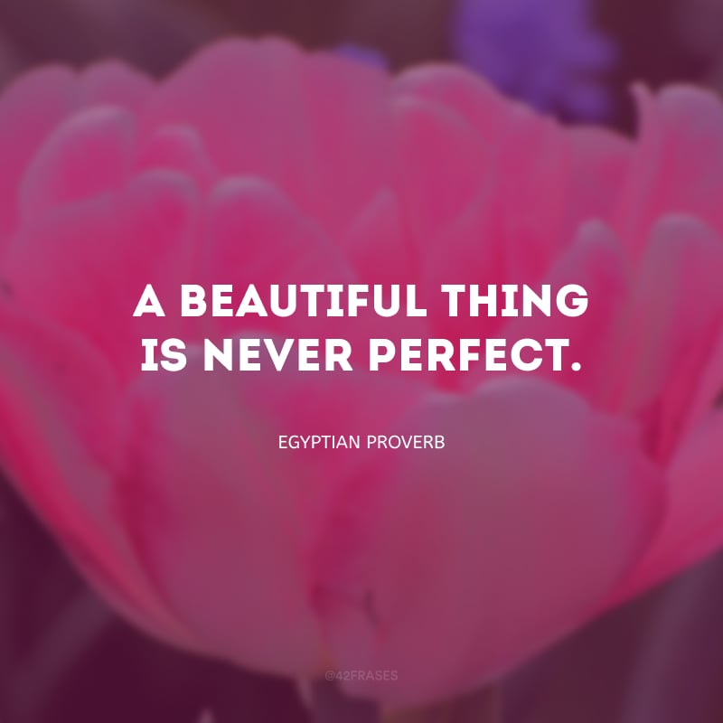 A beautiful thing is never perfect. (Algo que é bonito nunca será perfeito.)