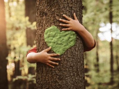 30 frases sobre a natureza que vão te fazer amar a Mãe Terra