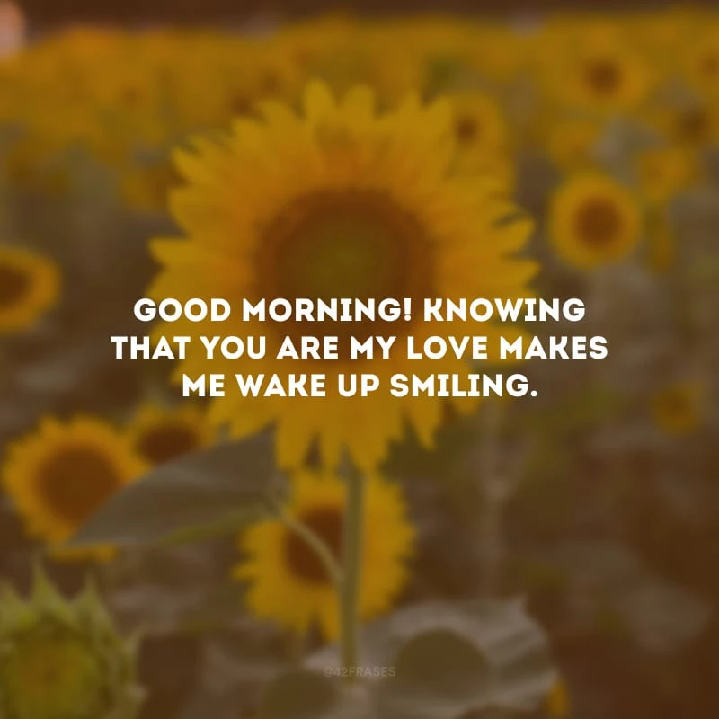 Good Morning! Knowing that you are my love makes me wake up smiling. (Bom dia! Saber que você é o meu amor me faz acordar sorrindo.)