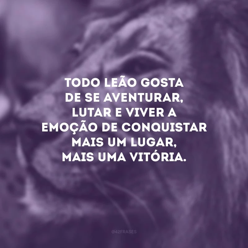 Todo leão gosta de se aventurar, lutar e viver a emoção de conquistar mais um lugar, mais uma vitória.