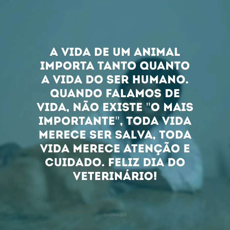 A vida de um animal importa tanto quanto a vida do ser humano. Quando falamos de vida, não existe \