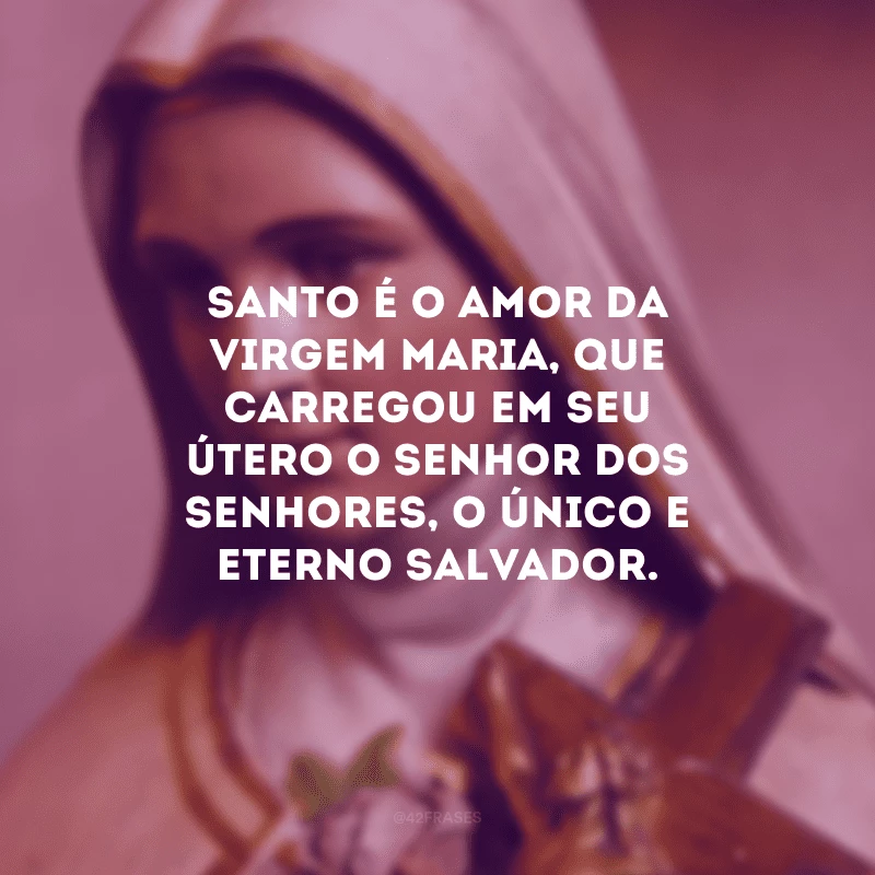 Santo é o amor da Virgem Maria, que carregou em seu útero o Senhor dos senhores, o Único e Eterno Salvador. 