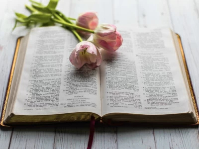 50 frases lindas da Bíblia para te inspirar a viver com fé