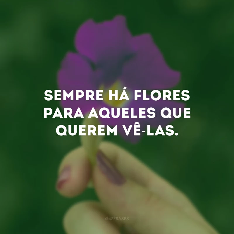 Sempre há flores para aqueles que querem vê-las.
