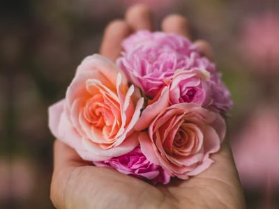 60 frases curtas de flores que perfumam a sua vida