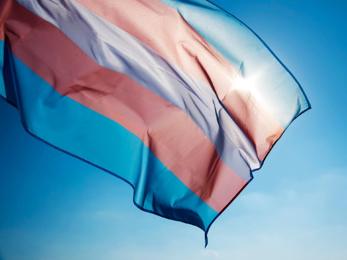 40 frases de Dia da Visibilidade Trans que enaltecem a luta LGBTIQA+