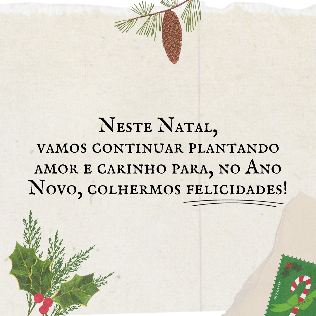Neste Natal, vamos continuar plantando amor e carinho para no Ano Novo, colhermos felicidades!
