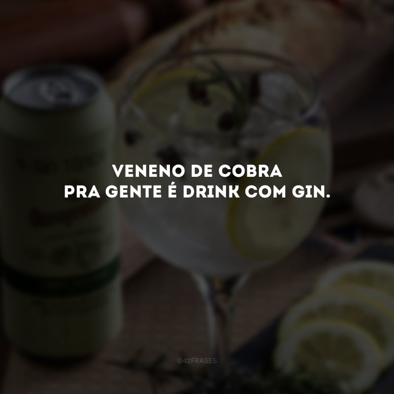Veneno de cobra pra gente é drink com gin.