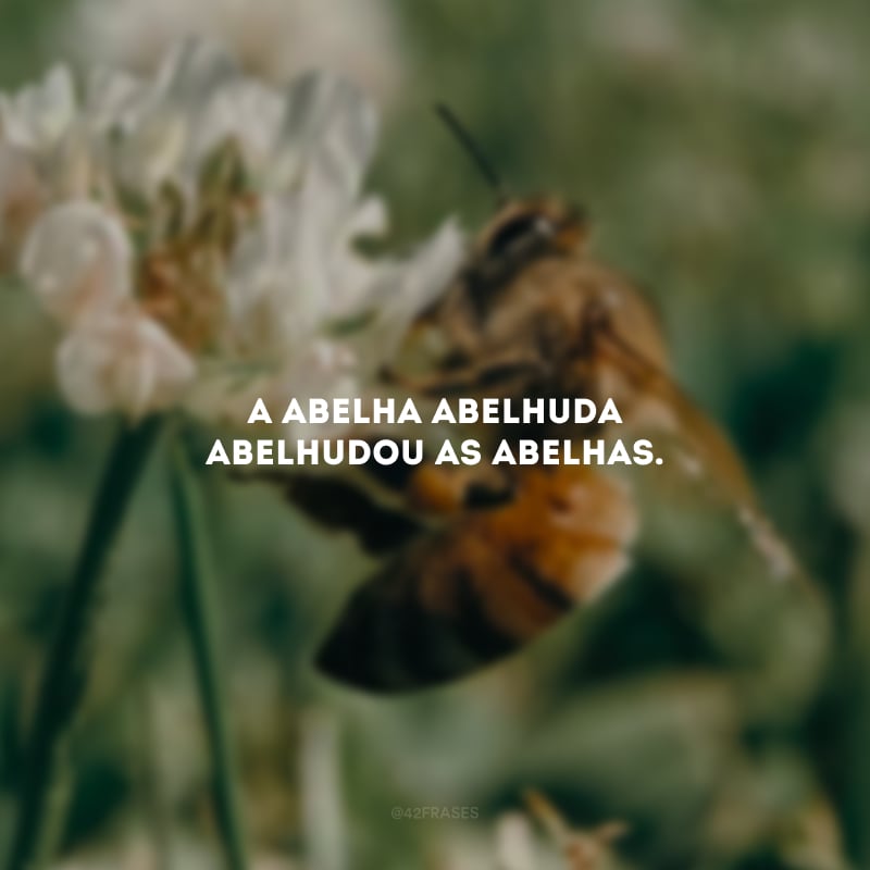 A abelha abelhuda abelhudou as abelhas.