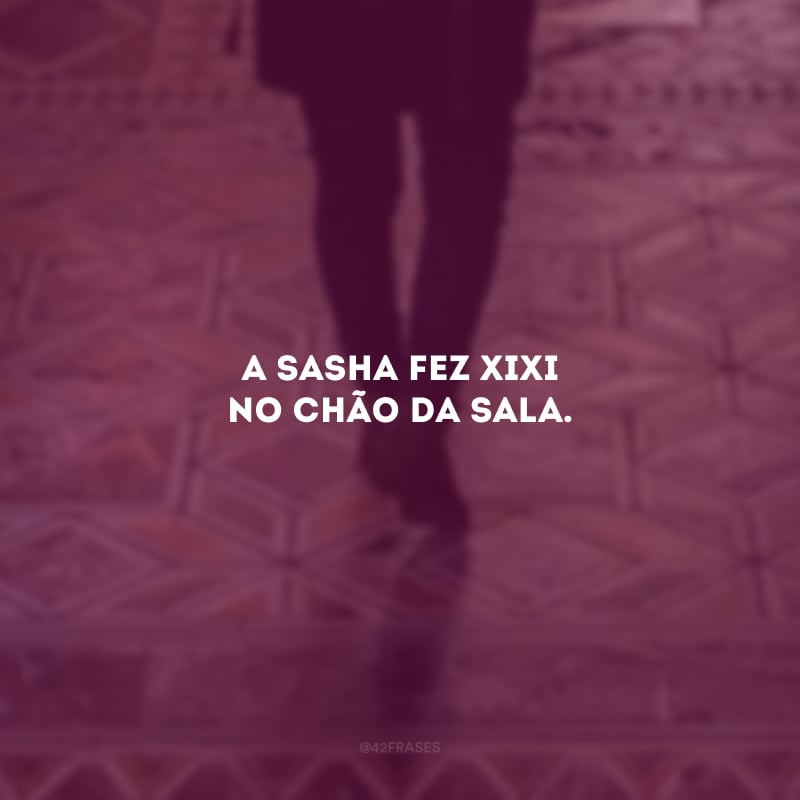 A Sasha fez xixi no chão da sala.