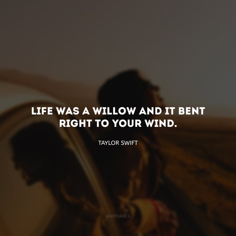 Life was a willow and it bent right to your wind. (A vida era um salgueiro e se curvava ao seu vento.)
