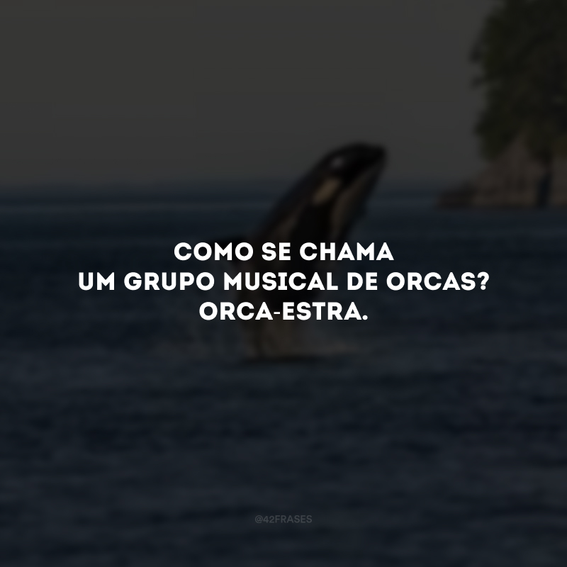 Como se chama um grupo musical de orcas? Orca-estra. 